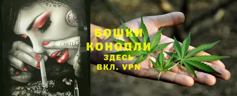 где найти наркотики  Дмитриев  Марихуана OG Kush 